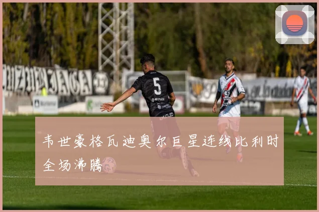 韦世豪格瓦迪奥尔巨星连线比利时全场沸腾
