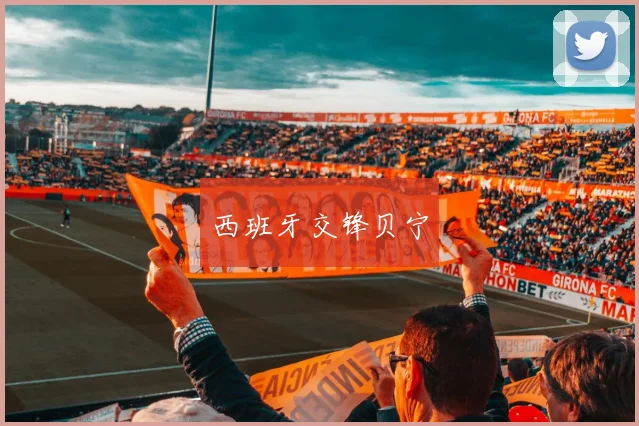 西班牙交锋贝宁
