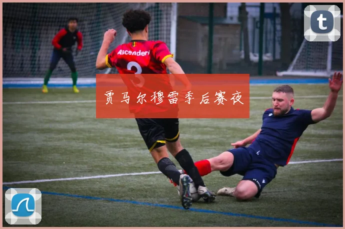 贾马尔穆雷季后赛夜
