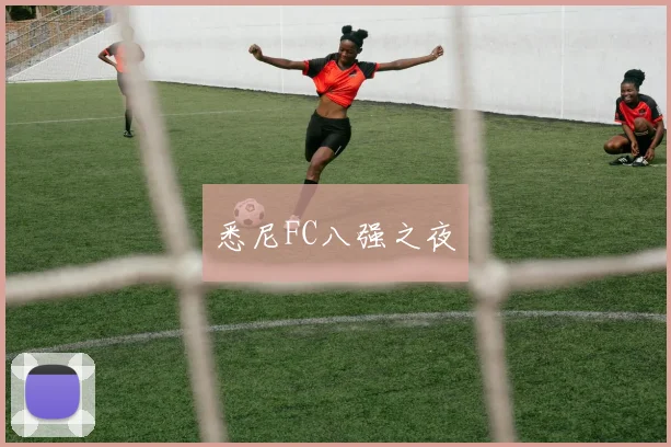 悉尼FC八强之夜