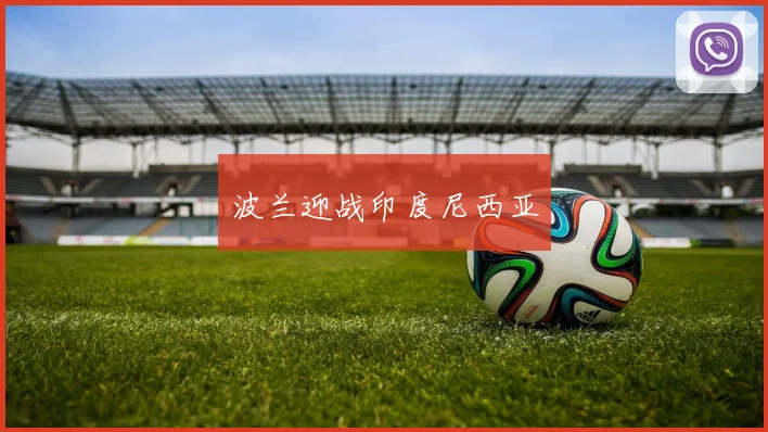 波兰迎战印度尼西亚