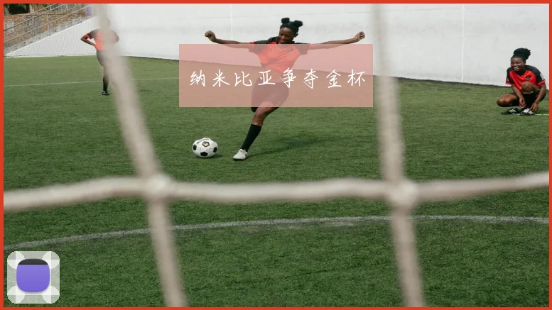 纳米比亚争夺金杯