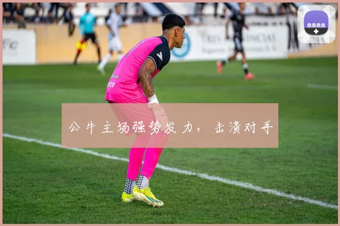 公牛主场强势发力，击溃对手