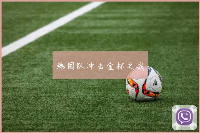 韩国队冲击金杯之战
