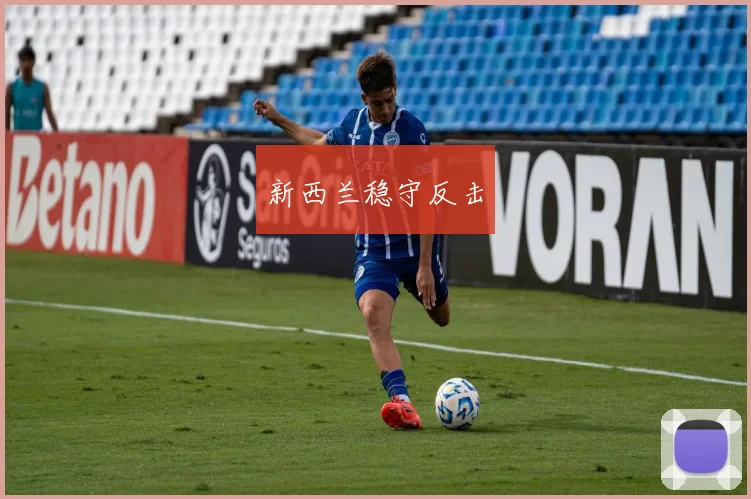 新西兰稳守反击