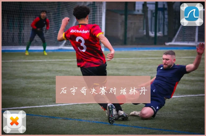 石宇奇决赛对话林丹