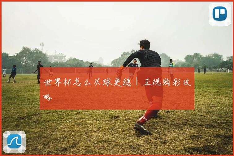 世界杯怎么买球更稳｜正规购彩攻略