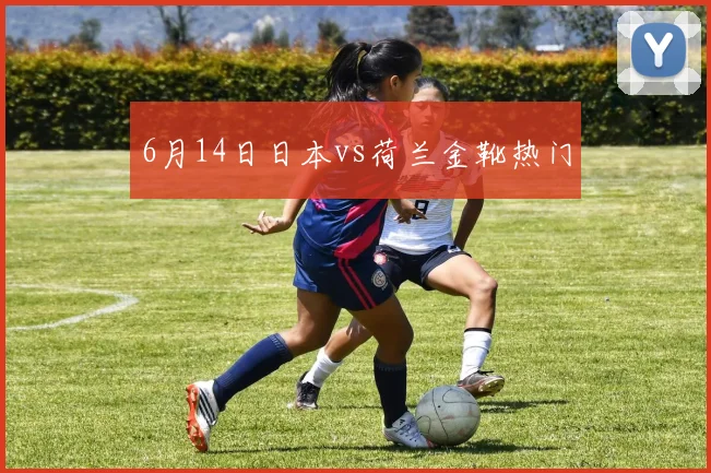 6月14日日本vs荷兰金靴热门