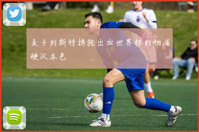 麦卡利斯特拼抢出血世界杯利物浦硬汉本色