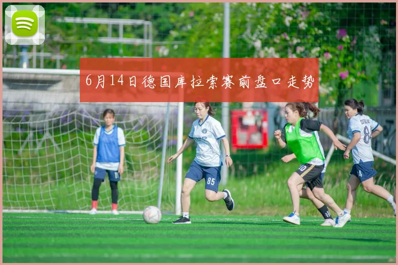 6月14日德国库拉索赛前盘口走势