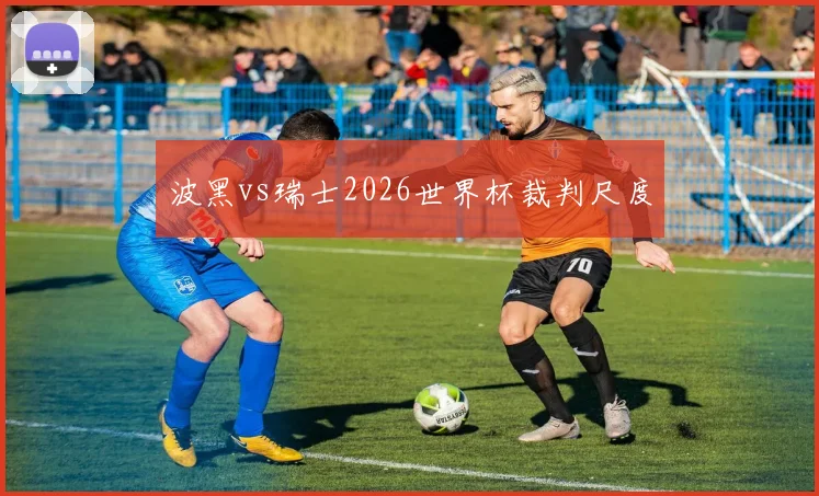 波黑vs瑞士2026世界杯裁判尺度