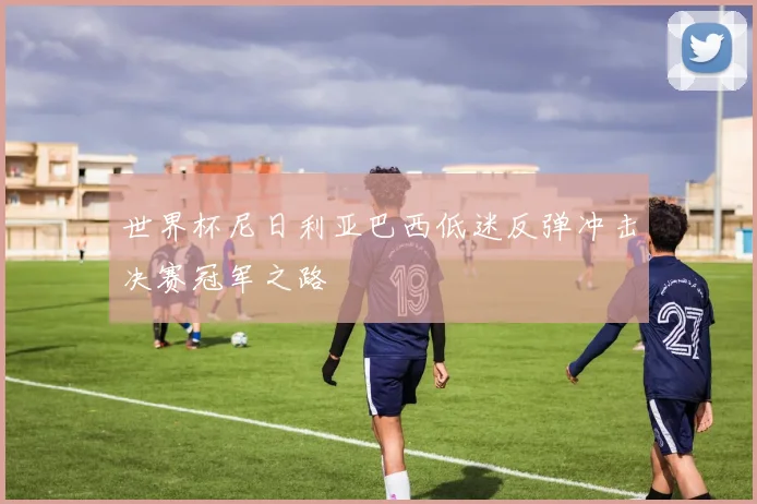 世界杯尼日利亚巴西低迷反弹冲击决赛冠军之路