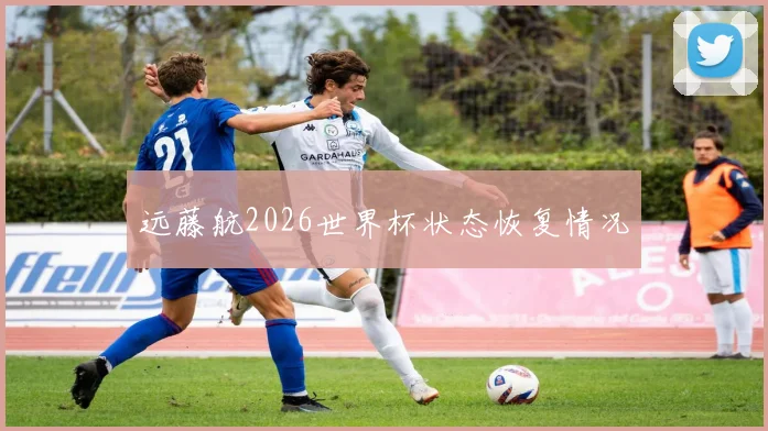 远藤航2026世界杯状态恢复情况