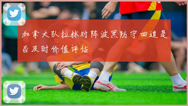 加拿大队拉林对阵波黑防守回追是否及时价值评估