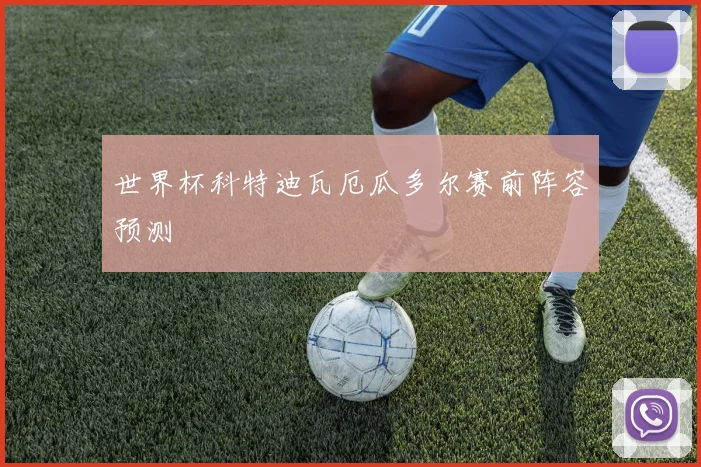 世界杯科特迪瓦厄瓜多尔赛前阵容预测
