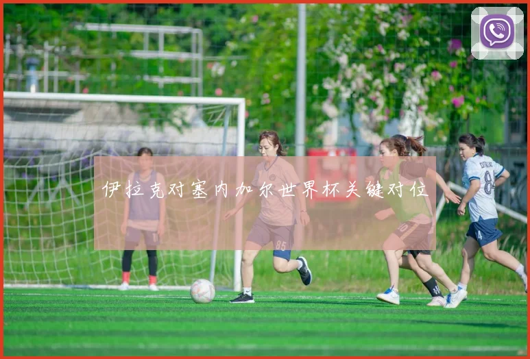 伊拉克对塞内加尔世界杯关键对位